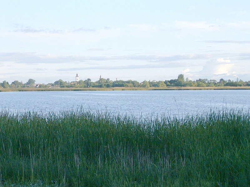 20100602 008.jpg